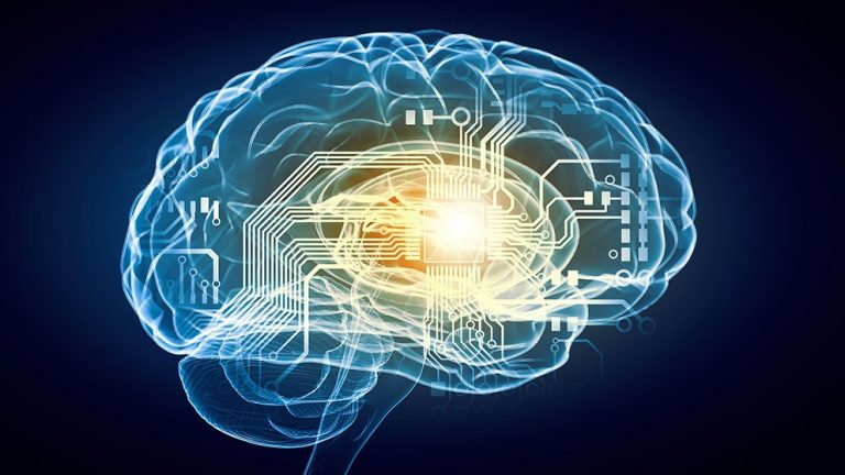 Learn More About Neurotransmitter Test and Ways to Improve Brain Health – braverman neurotransmitter test