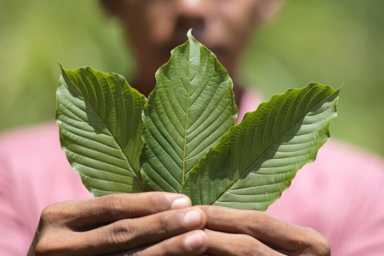 Finding Balance with Green Kratom: Harnessing Its Natural Benefits