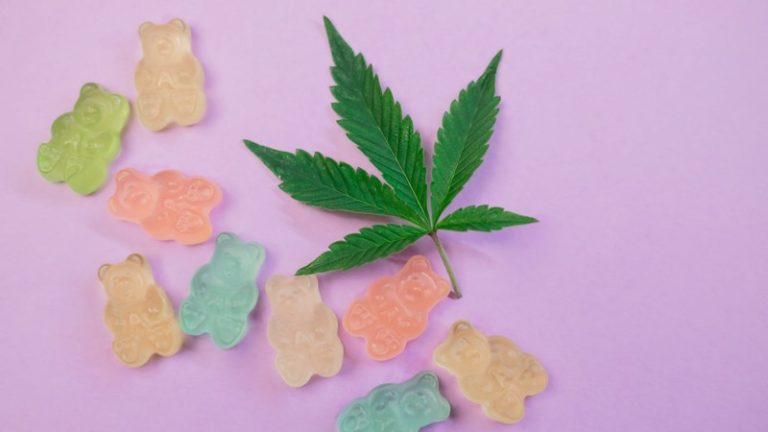 From Brownies to Gummies: The Diverse World of Delta 8 Edibles