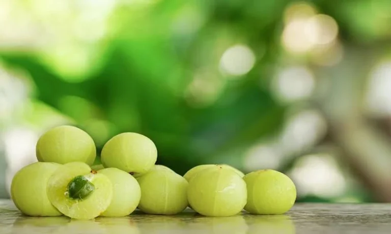Amla and Diabetes: What the Evidence Really Shows